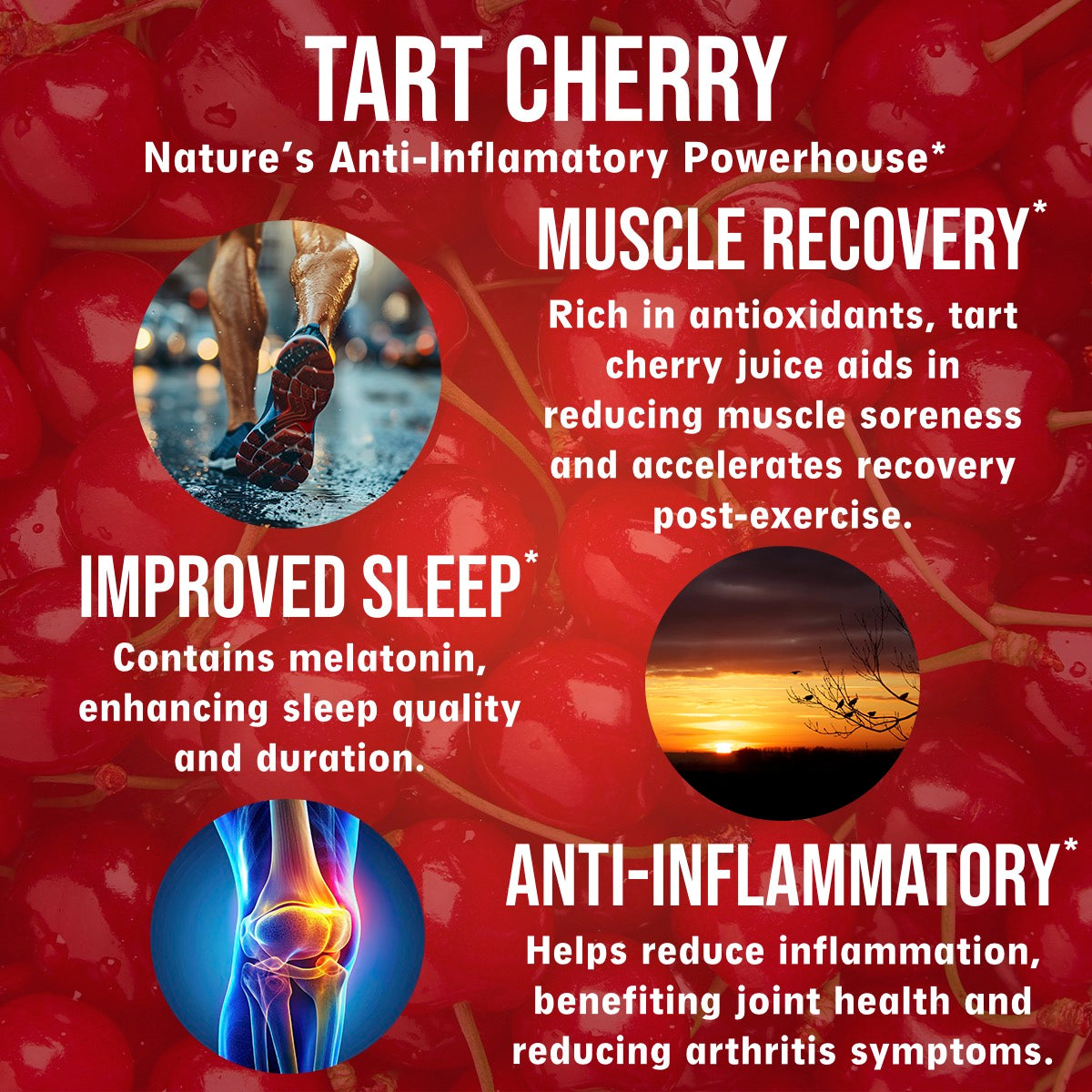 Rapid Recovery - Muscle Recovery, Uric Acid, & Daily Wellness Support